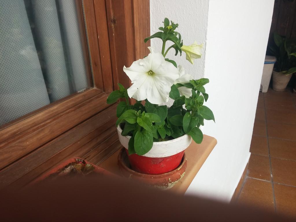 Balcon Del Velillos-"Rincon De Marcelo" Tozar Buitenkant foto