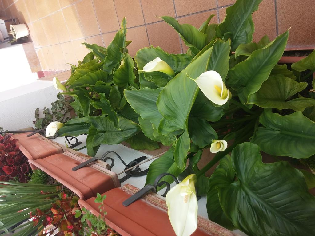 Balcon Del Velillos-"Rincon De Marcelo" Tozar Buitenkant foto